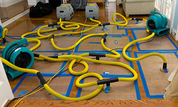 Professional Water Extraction technician working in Flat Rock, MI