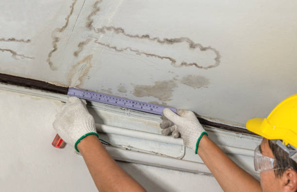 Affordable Water Damage Repair solutions in Flat Rock, MI